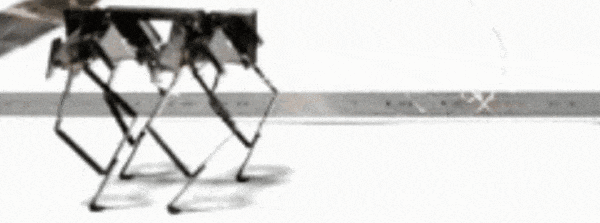 640 (4).gif